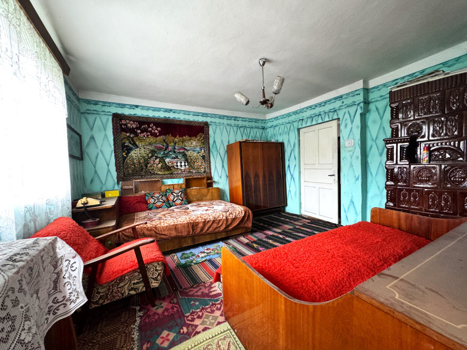 Casa+Teren 1ha - Centru Plesesti, Vulturesti