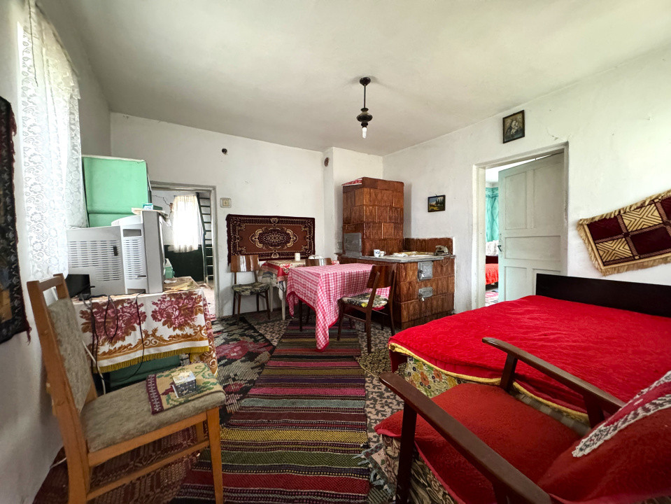Casa+Teren 1ha - Centru Plesesti, Vulturesti