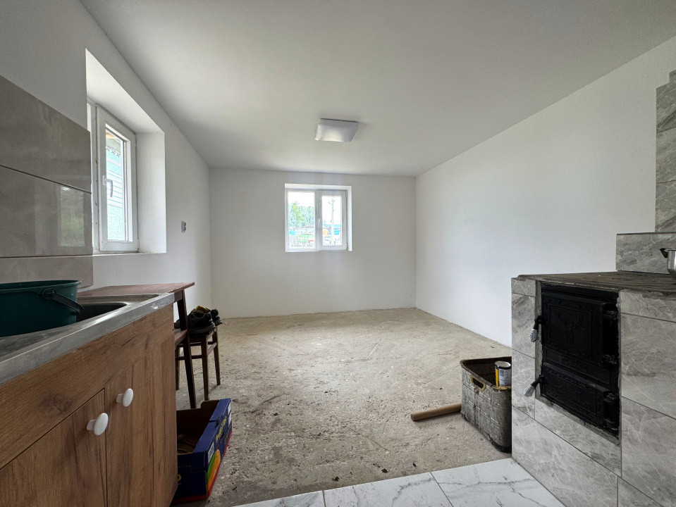Casa+Teren 1ha - Centru Plesesti, Vulturesti