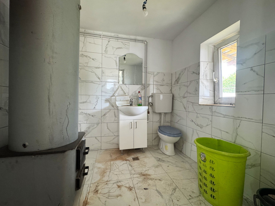 Casa+Teren 1ha - Centru Plesesti, Vulturesti