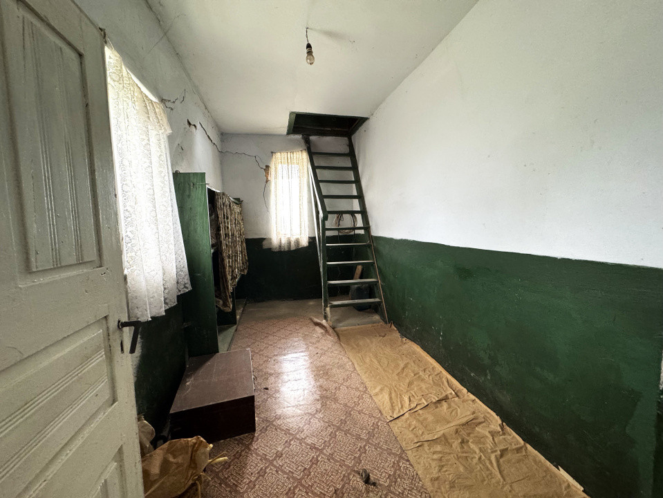 Casa+Teren 1ha - Centru Plesesti, Vulturesti