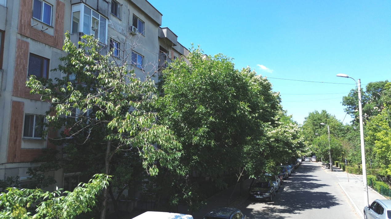 Apartament decomandat, Brazda , K - uri parter !
