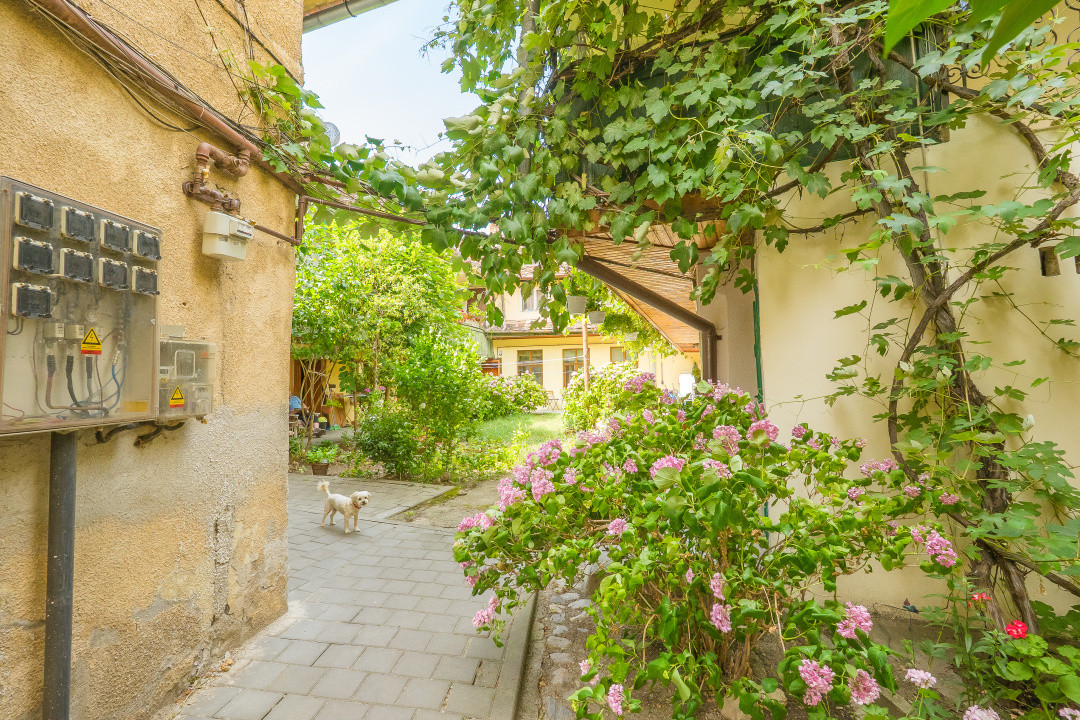 Apartamente 3 camere - Investiție sau Locuință-Ultracentral-Sibiu