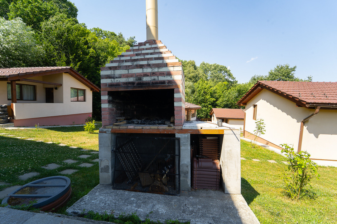 Vila exclusivista cu piscina si panorama de vis Cisnadioara