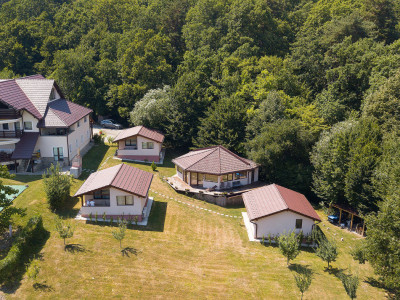 4 Casute de vacanta cu teren de 2000 mp liberi Cisnadioara