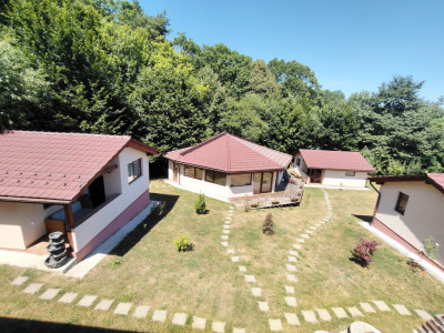 4 Casute de vacanta cu teren de 2000 mp liberi Cisnadioara