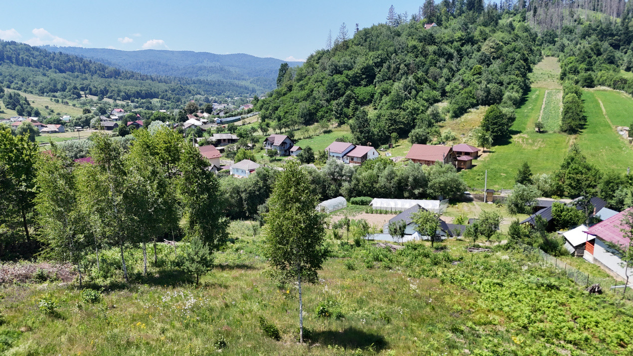 Casa+Teren+Anexe, 10.000 mp in Slatioara, Rasca