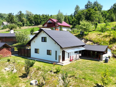 Casa+Teren+Anexe, 10.000 mp in Slatioara, Rasca