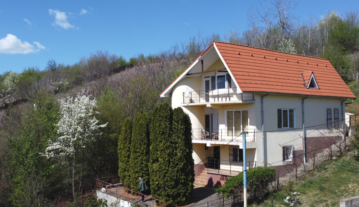 Casa deosebita Leamna, Dolj, priveliste panoramica 