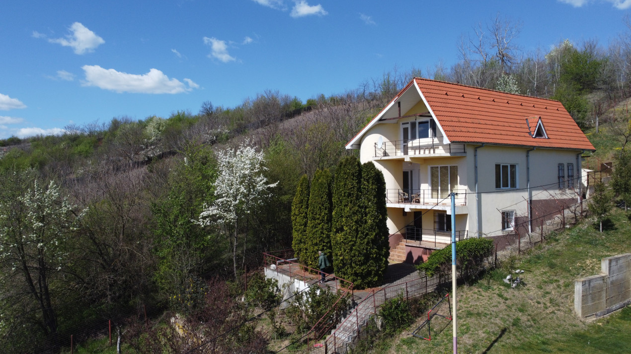 Casa deosebita Leamna, Dolj, priveliste panoramica 
