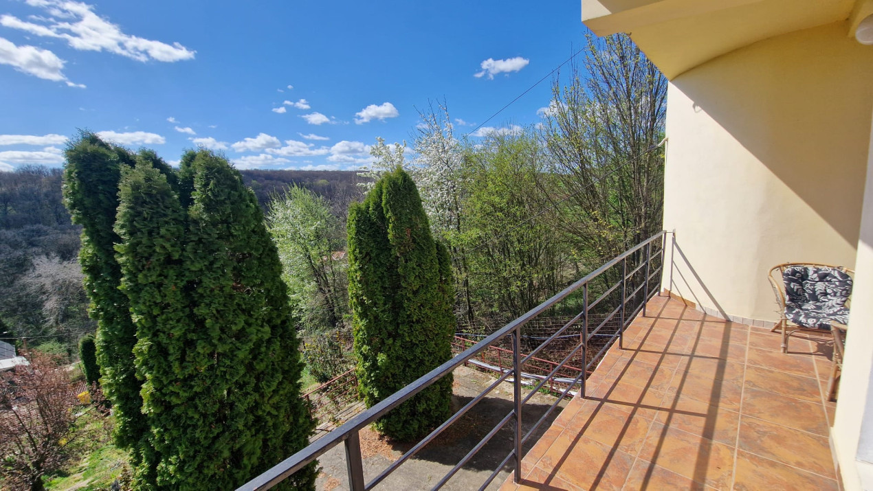 Casa deosebita Leamna, Dolj, priveliste panoramica 