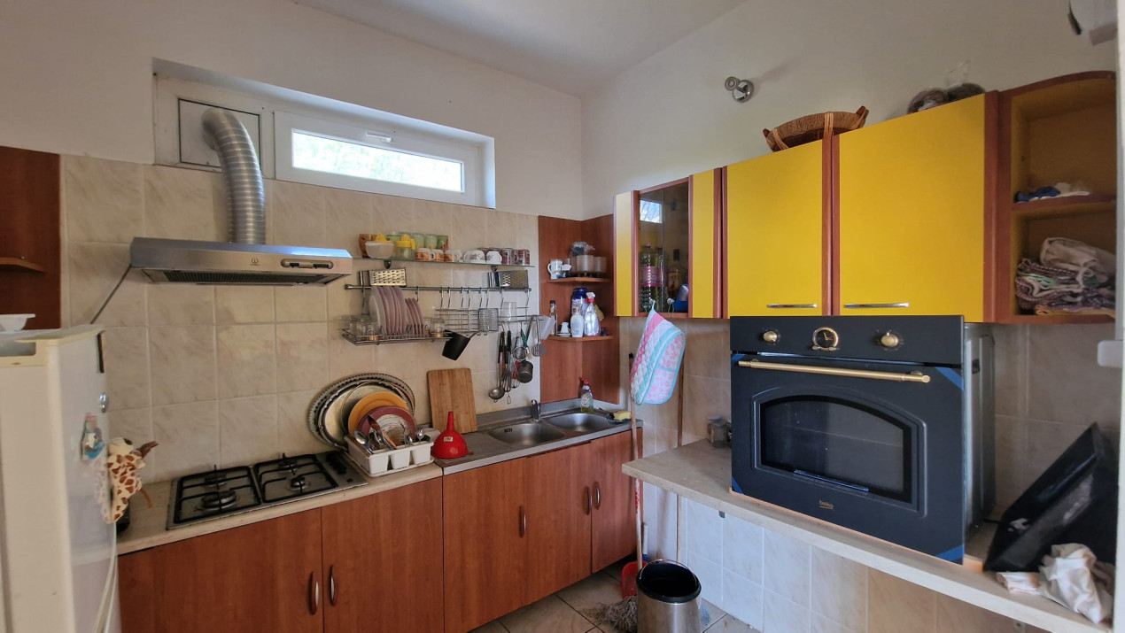 Casa deosebita Leamna, Dolj, priveliste panoramica 