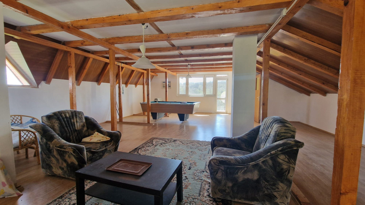 Casa deosebita Leamna, Dolj, priveliste panoramica 