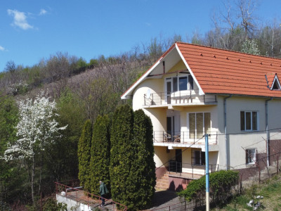 Casa deosebita Leamna, Dolj, priveliste panoramica 