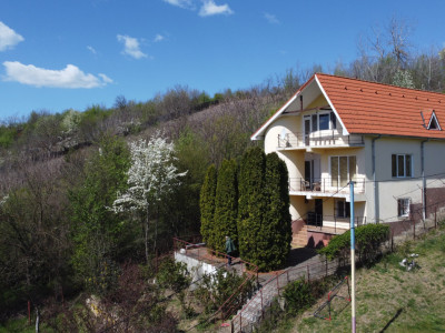 Oază de Liniște | Casă cu Vedere Panoramică – Leamna, Dolj