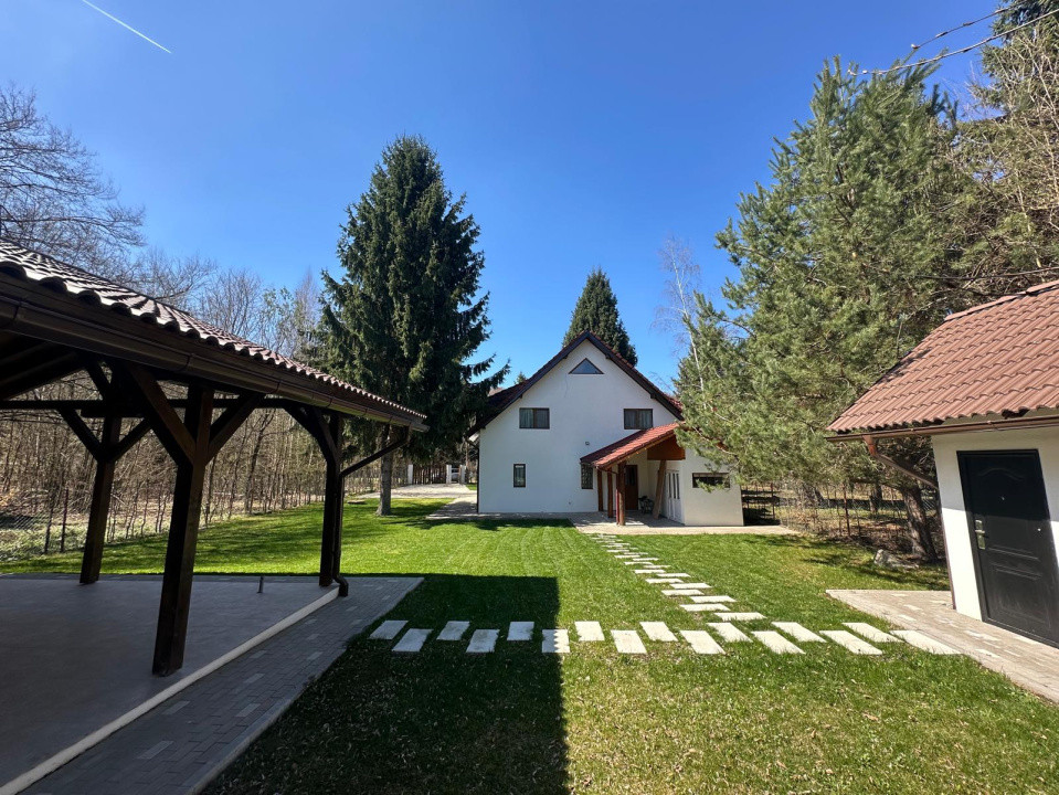  Vila de poveste din Valea Avrigului de vanzare