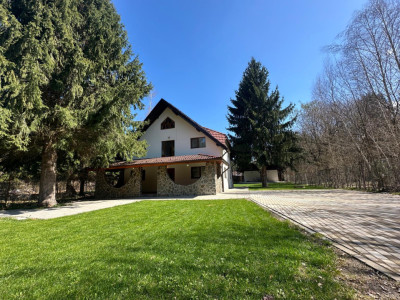  Vila de poveste din Valea Avrigului de vanzare