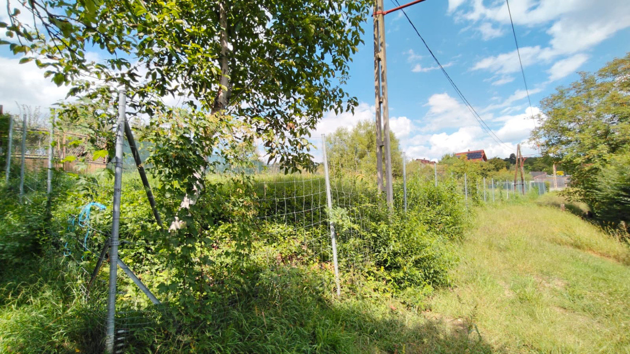 Teren Intravilan de vanzare -Tropinii Rasinari 565 mp