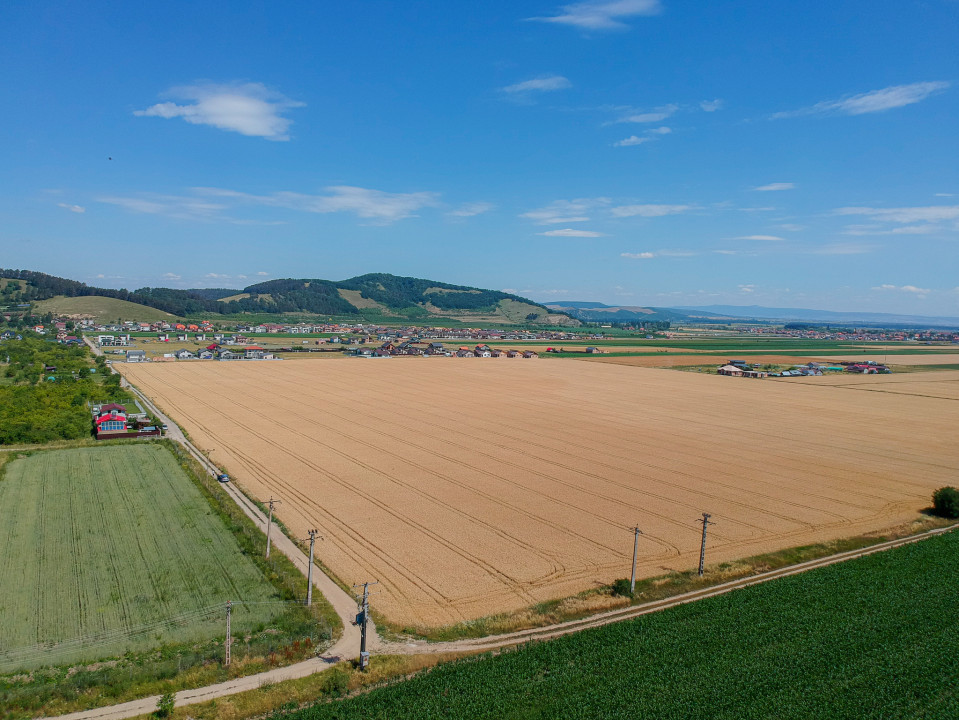 Teren extravilan în Sânpetru, Brașov – dezvoltare rezidențială, COMISION 0%