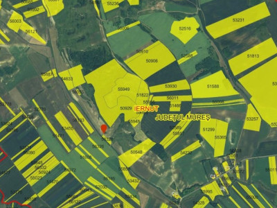Oportunitate unică de investiție – Pădure, cătină și visuri verzi