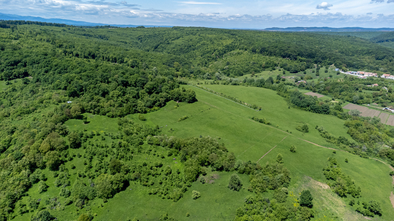 Terenuri de vânzare în Bradu – 500 mp, panoramă superbă la munți și râul Olt