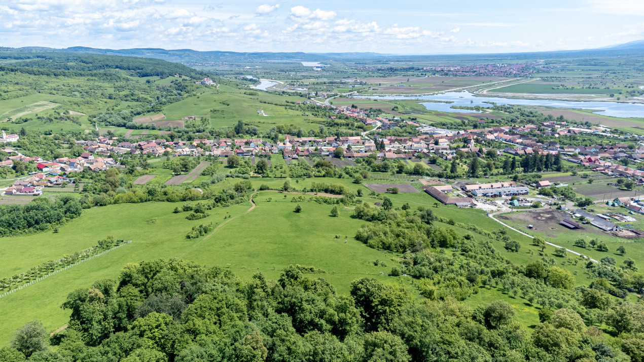 Terenuri de vânzare în Bradu – 500 mp, panoramă superbă la munți și râul Olt