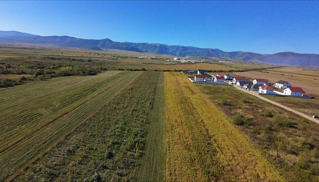 Teren de Vânzare – 18.459 mp cu Potențial de Investiție! Cristian- Sibiu