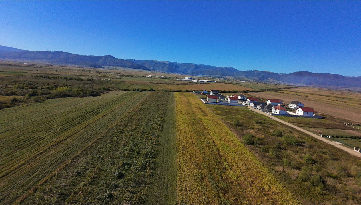 Teren de Vânzare – 18.459 mp cu Potențial de Investiție! Cristian- Sibiu