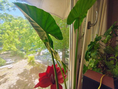 Apartament 3 Camere, Zona Linistita-Severinului