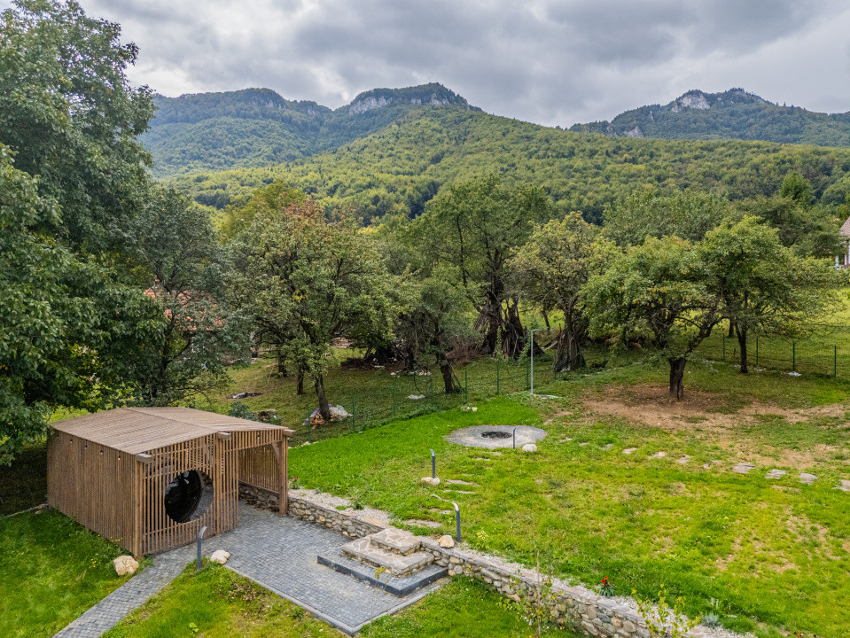 Afacere la cheie in inima naturii- Case smart A-Frame