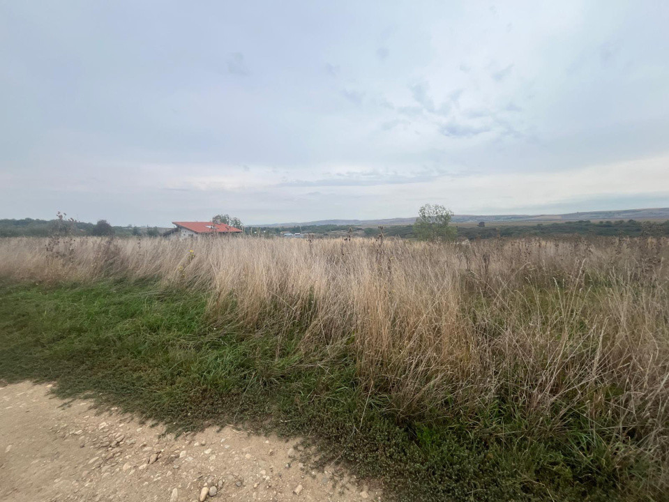 Oportunitate de Investiție – Teren intravilan 4.270 mp cu PUZ  Ocna Sibiului