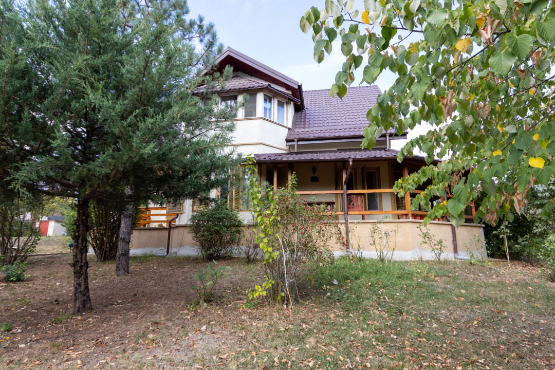 🌿 Colțul tău de natură la Snagov – Casa din lemn unde liniștea devine acasă
