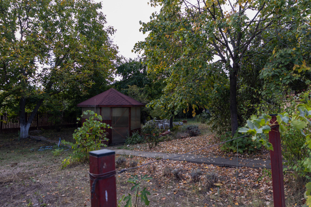 🌿 Colțul tău de natură la Snagov – Casa din lemn unde liniștea devine acasă
