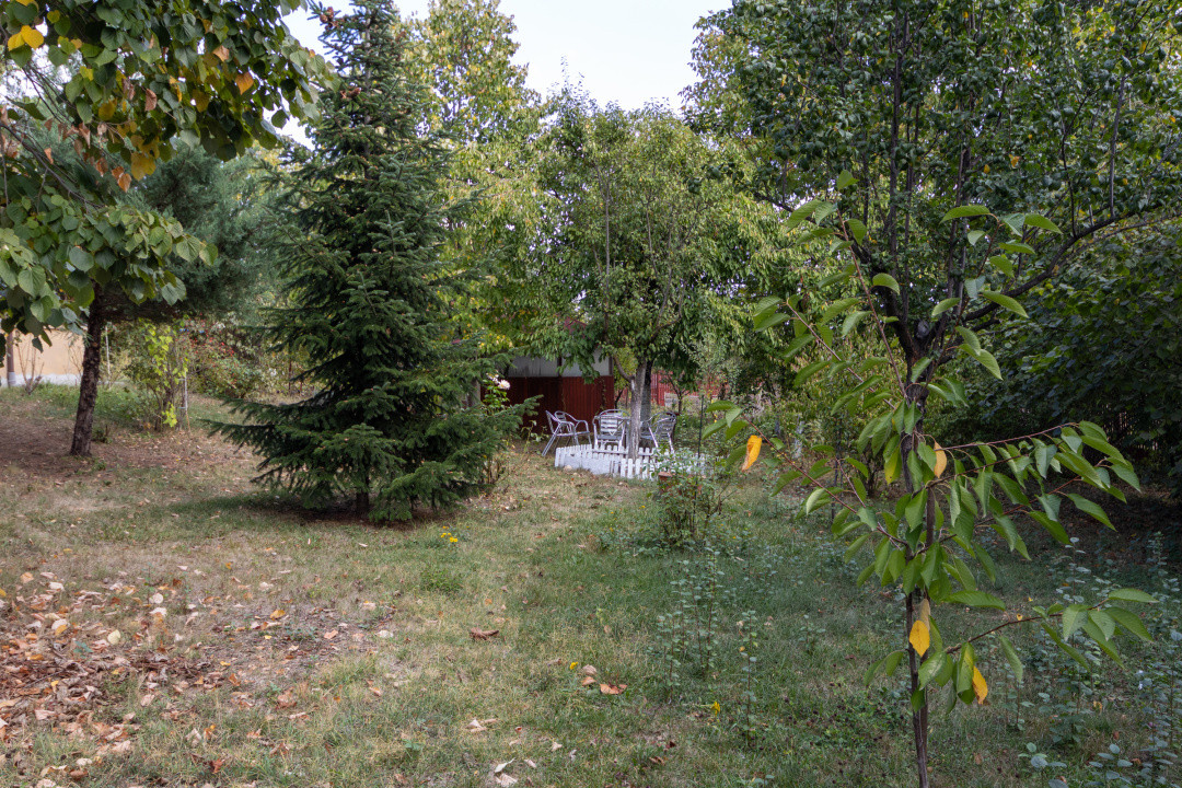 🌿 Colțul tău de natură la Snagov – Casa din lemn unde liniștea devine acasă