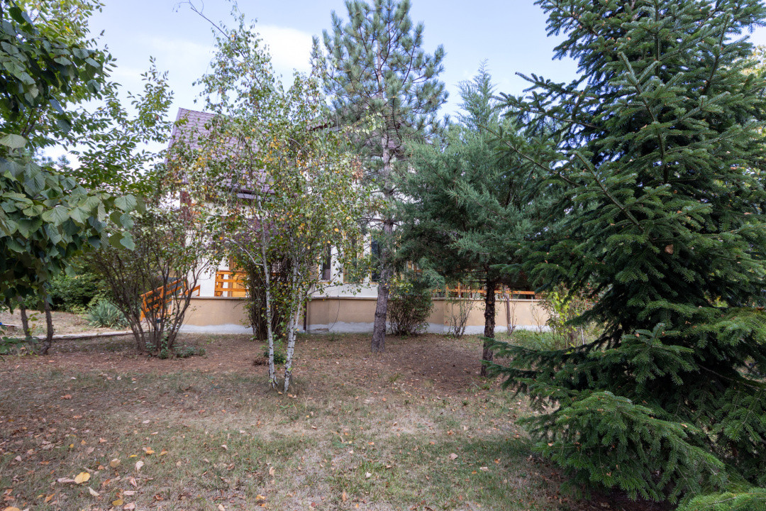 🌿 Colțul tău de natură la Snagov – Casa din lemn unde liniștea devine acasă