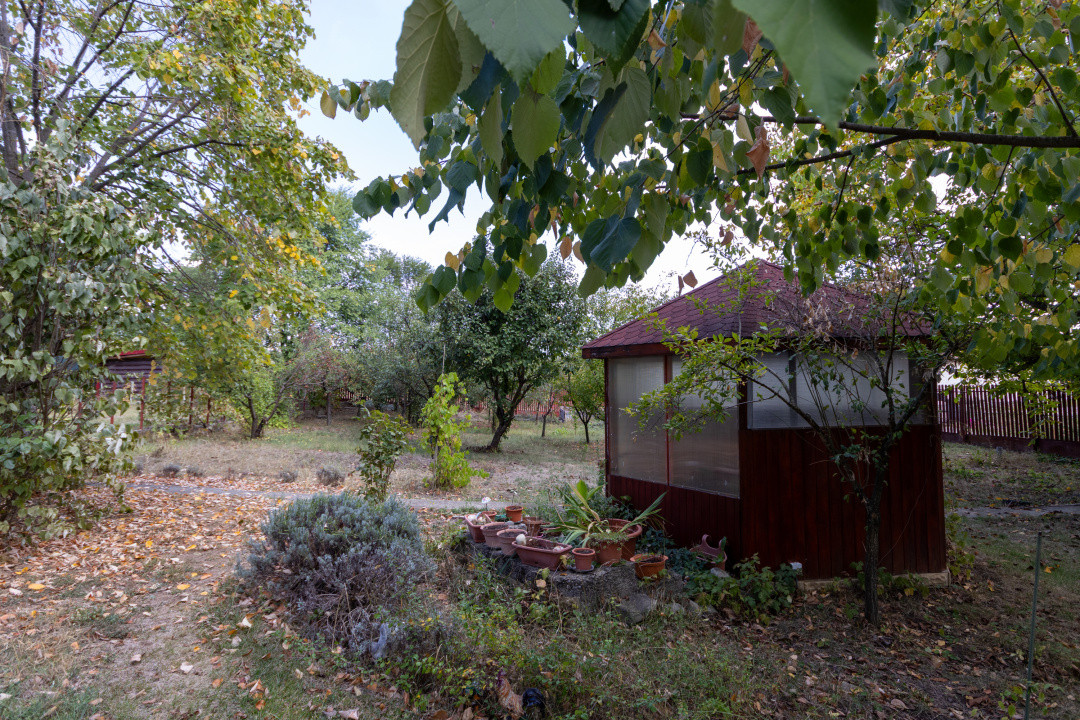 🌿 Colțul tău de natură la Snagov – Casa din lemn unde liniștea devine acasă