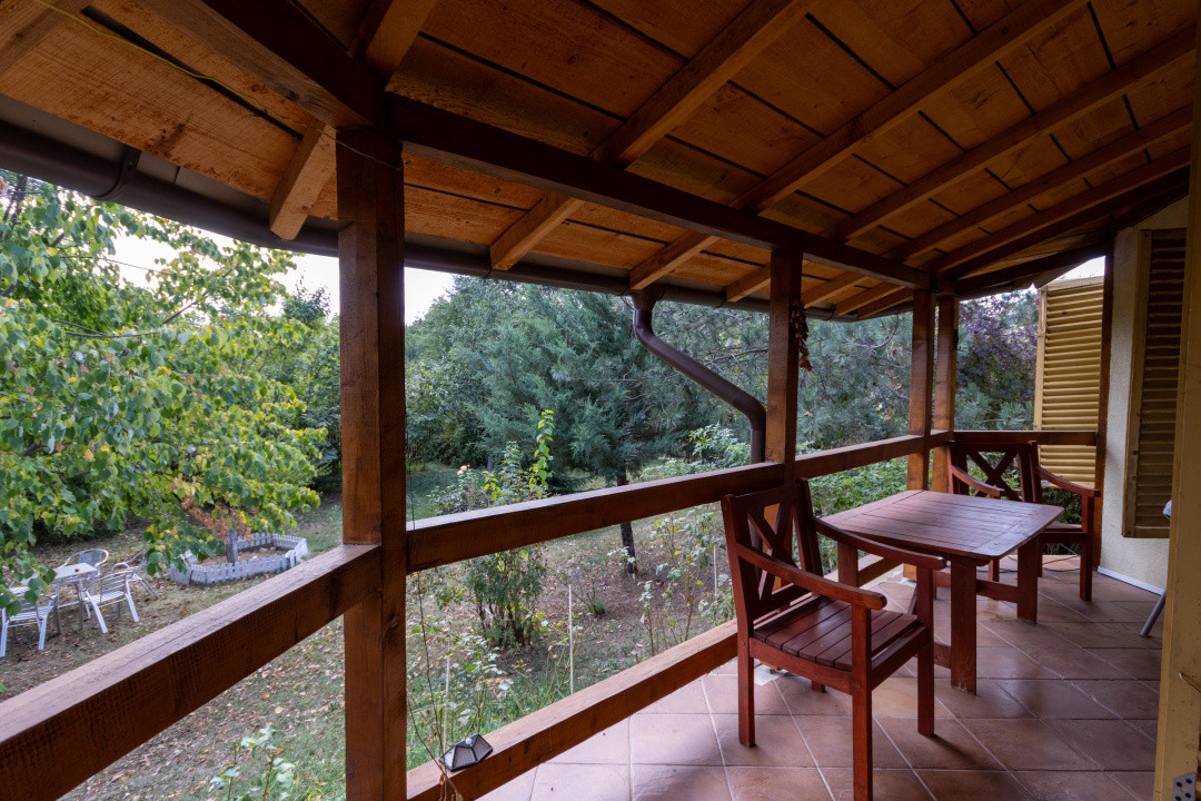 🌿 Colțul tău de natură la Snagov – Casa din lemn unde liniștea devine acasă