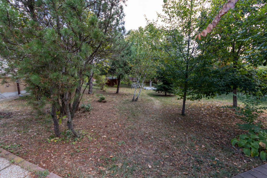 🌿 Colțul tău de natură la Snagov – Casa din lemn unde liniștea devine acasă