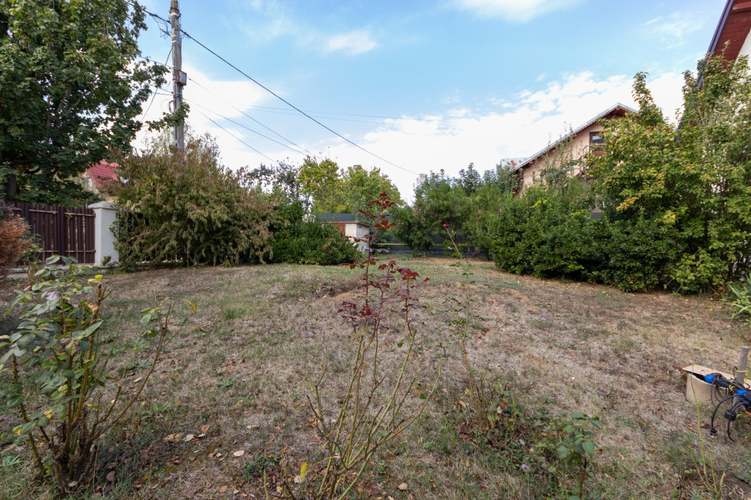 🌿 Colțul tău de natură la Snagov – Casa din lemn unde liniștea devine acasă