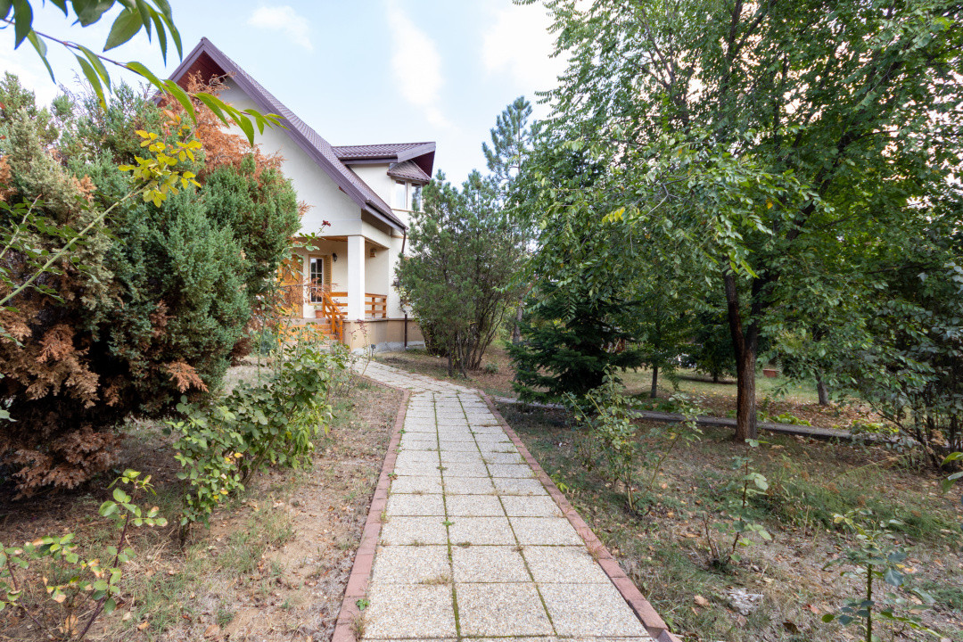 🌿 Colțul tău de natură la Snagov – Casa din lemn unde liniștea devine acasă
