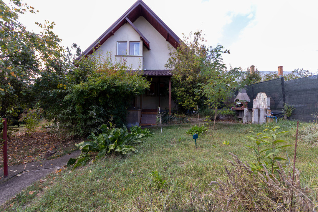 🌿 Colțul tău de natură la Snagov – Casa din lemn unde liniștea devine acasă