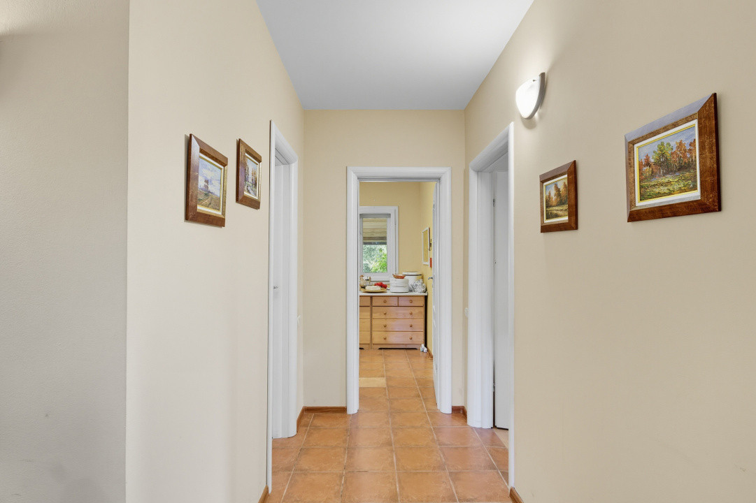 🌿 Colțul tău de natură la Snagov – Casa din lemn unde liniștea devine acasă