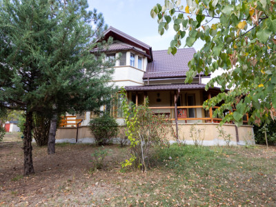 🌿 Colțul tău de natură la Snagov – Casa din lemn unde liniștea devine acasă