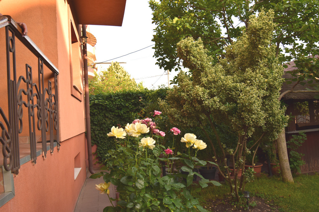 Casa stil arhitectural  deosebit, strada Paltinis, deschidere dubla