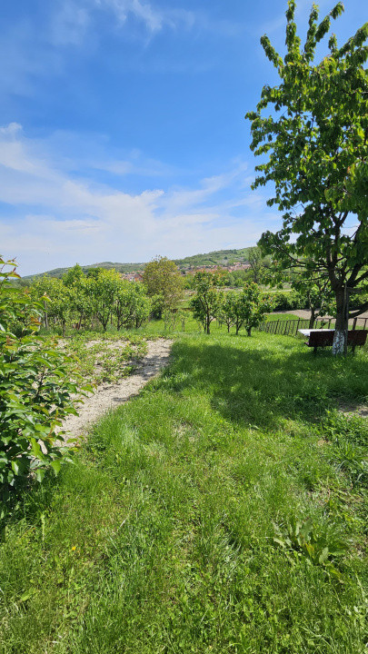 Casa cu poveste si potential – locul perfect pentru un nou inceput in Seica Mare