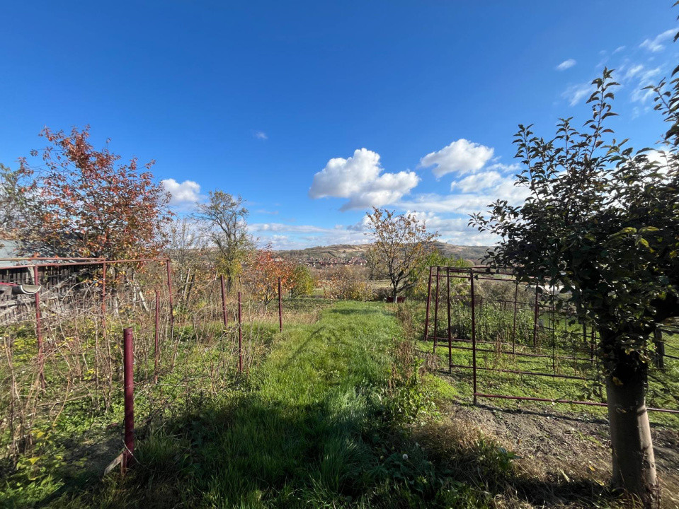 Casa cu poveste si potential – locul perfect pentru un nou inceput in Seica Mare