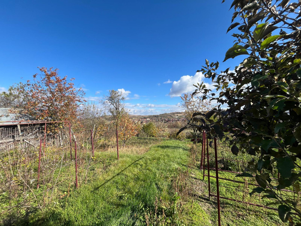 Casa cu poveste si potential – locul perfect pentru un nou inceput in Seica Mare