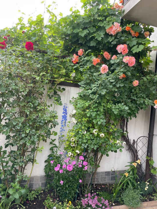 Casa individuala cu 5 camere, de vanzare, in Brasov, zona Bartolomeu!