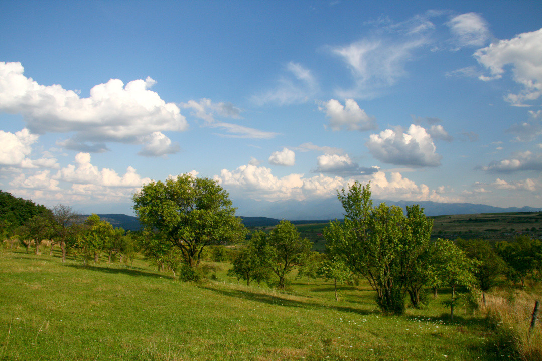 Teren de vânzare în Daia, Sibiu – 600 mp, priveliște superbă spre munți