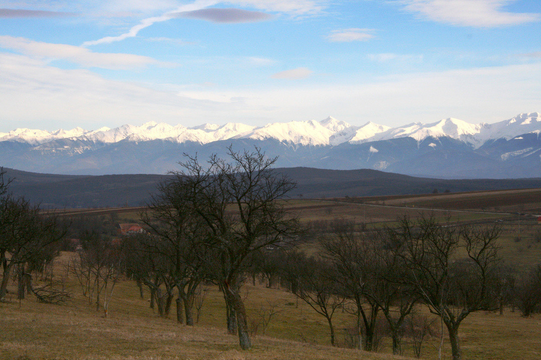 Teren de vânzare în Daia, Sibiu – 600 mp, priveliște superbă spre munți